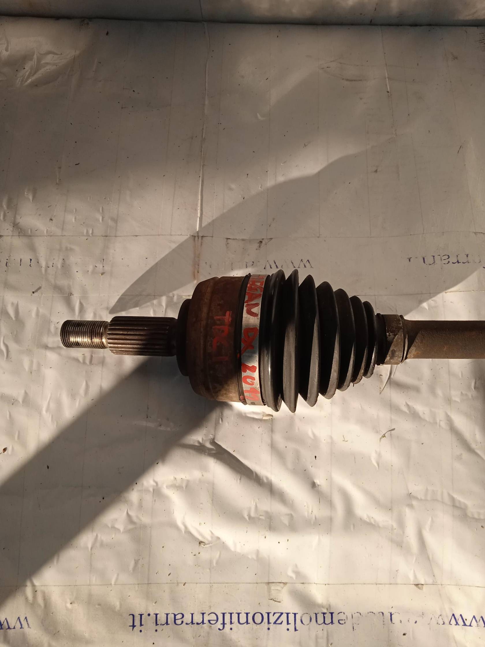 Semialbero ant. compl. dx.